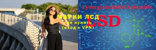 стафф Козельск