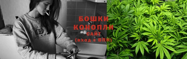 стафф Козельск