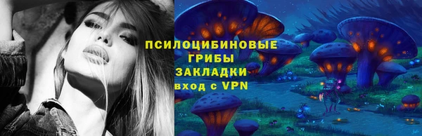 стафф Козельск